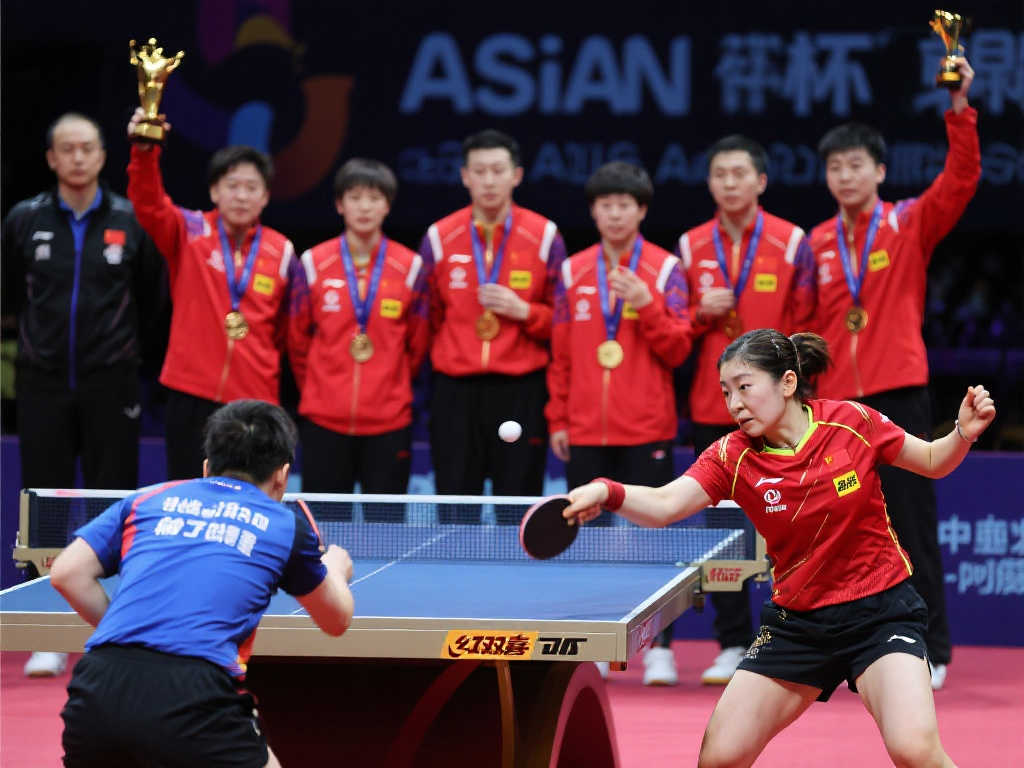 力的展现 力的展现