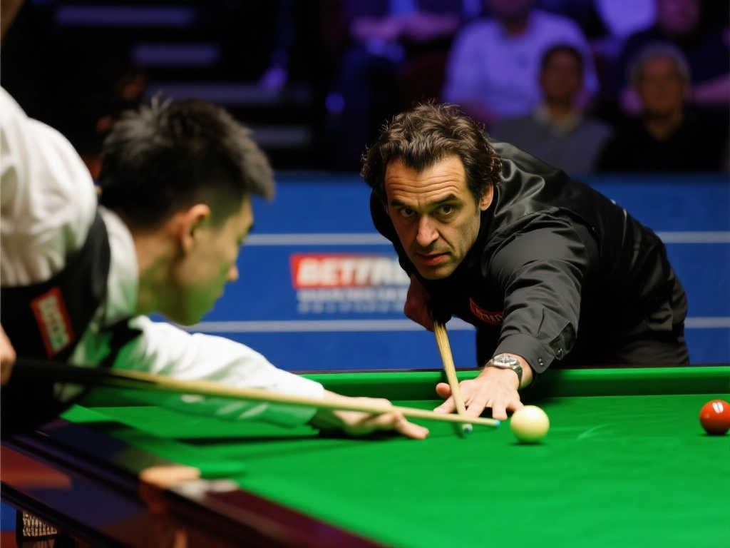 耳其赛场的 耳其赛场的